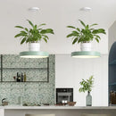 GobekUsa Brooklyn - Round Macaron Round Hanging Light Acrylic LED Pendant Lighting Fixture in Black/Grey/White with Top Plant Pot