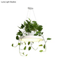 GobekUsa Brooklyn - Round Macaron Round Hanging Light Acrylic LED Pendant Lighting Fixture in Black/Grey/White with Top Plant Pot