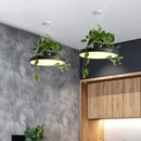 GobekUsa Brooklyn - Round Macaron Round Hanging Light Acrylic LED Pendant Lighting Fixture in Black/Grey/White with Top Plant Pot