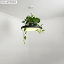 GobekUsa Brooklyn - Round Macaron Round Hanging Light Acrylic LED Pendant Lighting Fixture in Black/Grey/White with Top Plant Pot