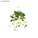 GobekUsa Brooklyn - Round Macaron Round Hanging Light Acrylic LED Pendant Lighting Fixture in Black/Grey/White with Top Plant Pot