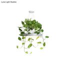 GobekUsa Brooklyn - Round Macaron Round Hanging Light Acrylic LED Pendant Lighting Fixture in Black/Grey/White with Top Plant Pot