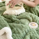 GobekUsa Coral Fleece Blanket: MultiFunctional Soft Skin-Friendly Warm Shawl