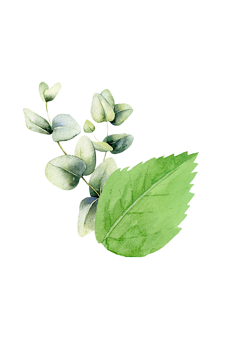 Mint & Eucalyptus Essential Oil Blend, photo 2 of 3