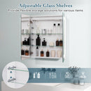 2 Doors Bathroom Mirror Medicine Wall Cabinet with Lights