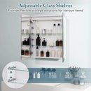 2 Doors Bathroom Mirror Medicine Wall Cabinet with Lights by LJGDeals