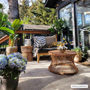 Limbo Beige Outdoor Area Rug