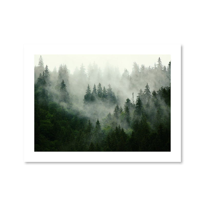 Misty Forest Print