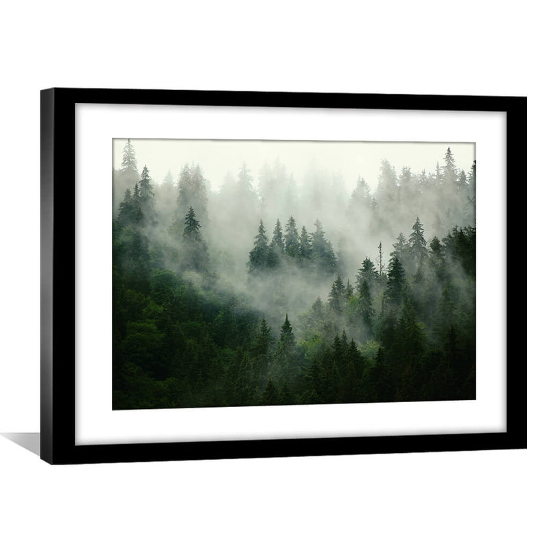 Misty Forest Print