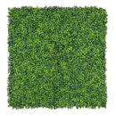 Sample Panel – Mixed Boxwood Green Wall (Small Sample) by Designer Plants USA