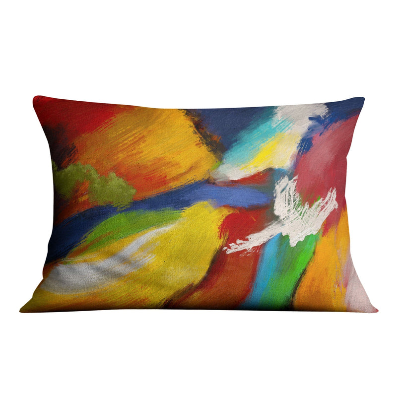 Mixed Paint Cushion