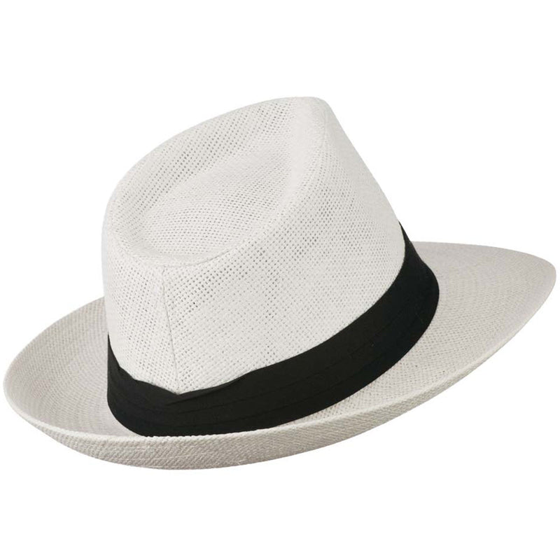 Men's Large Brim Fedora Hat