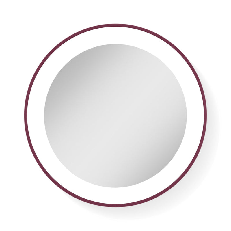 Lighted Compact Mirror with Magnification & Suction Cup