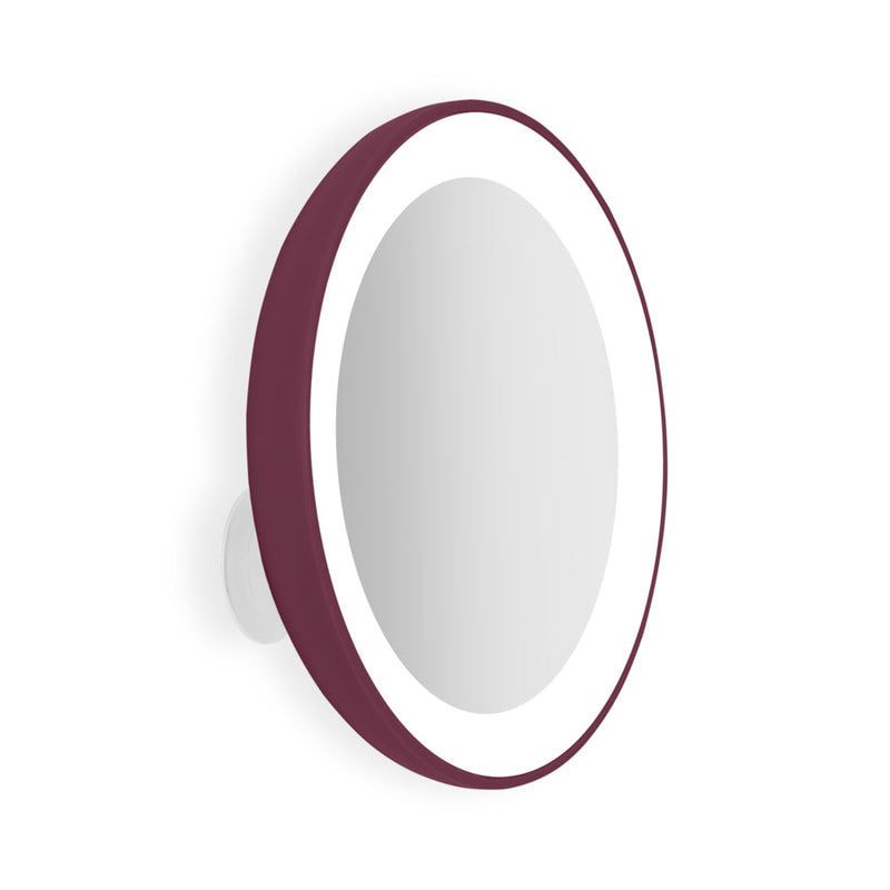 Lighted Compact Mirror with Magnification & Suction Cup