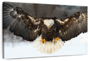 Bald Eagle Landing Wall Art