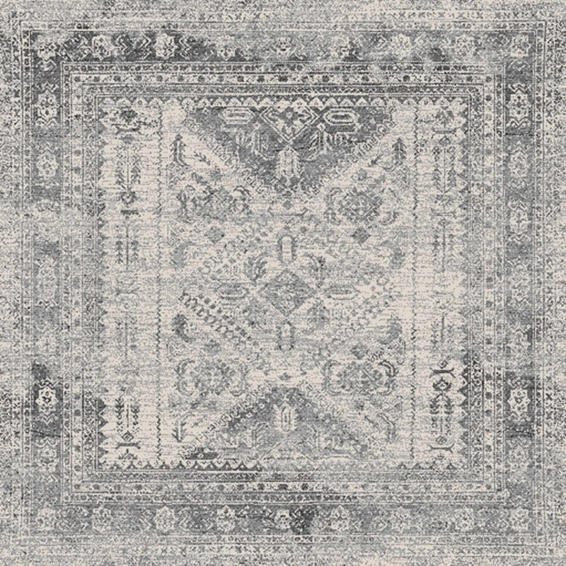 Nelsonville Area Rug