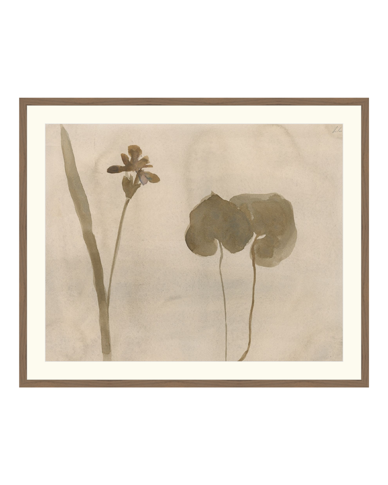 Botanical Thoughts II