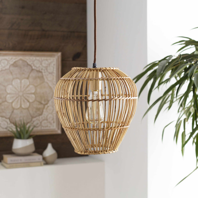 Edwards Global Ceiling Lighting