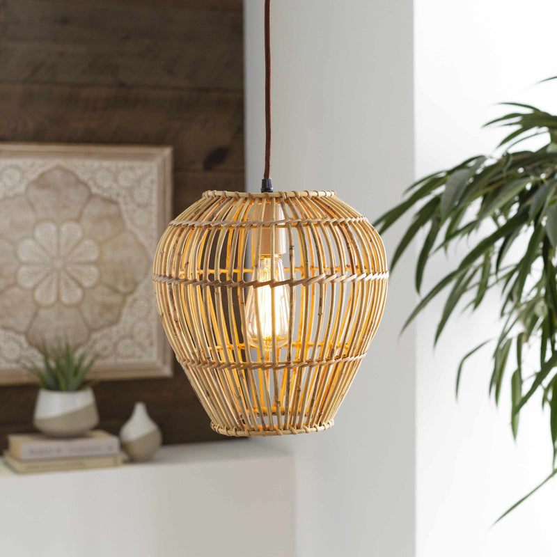 Edwards Global Ceiling Lighting