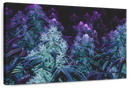 Flowering Purple Cannabis Wall Art