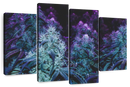 Flowering Purple Cannabis Wall Art