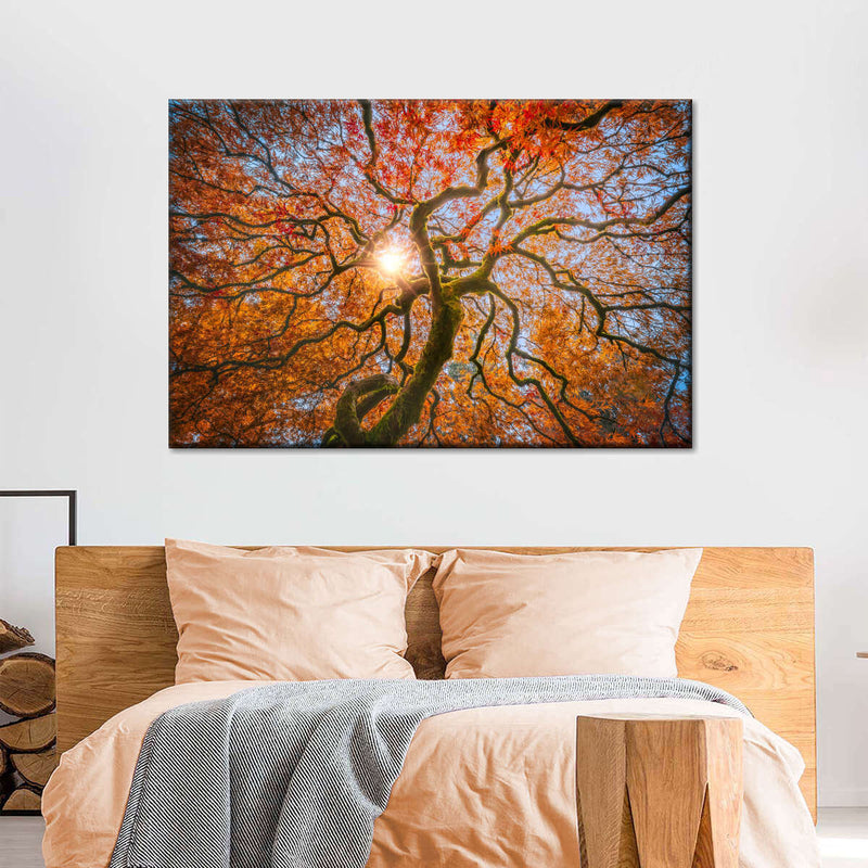 Japanese Maple Tree Wall Art