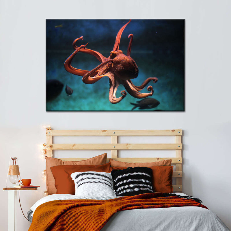 Octopus Vulgaris Wall Art