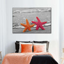 Nautical Starfish Duo Wall Art
