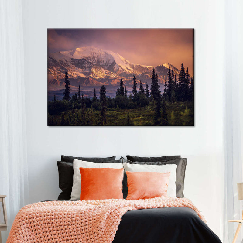 Denali Mountains And Forest Wall Art