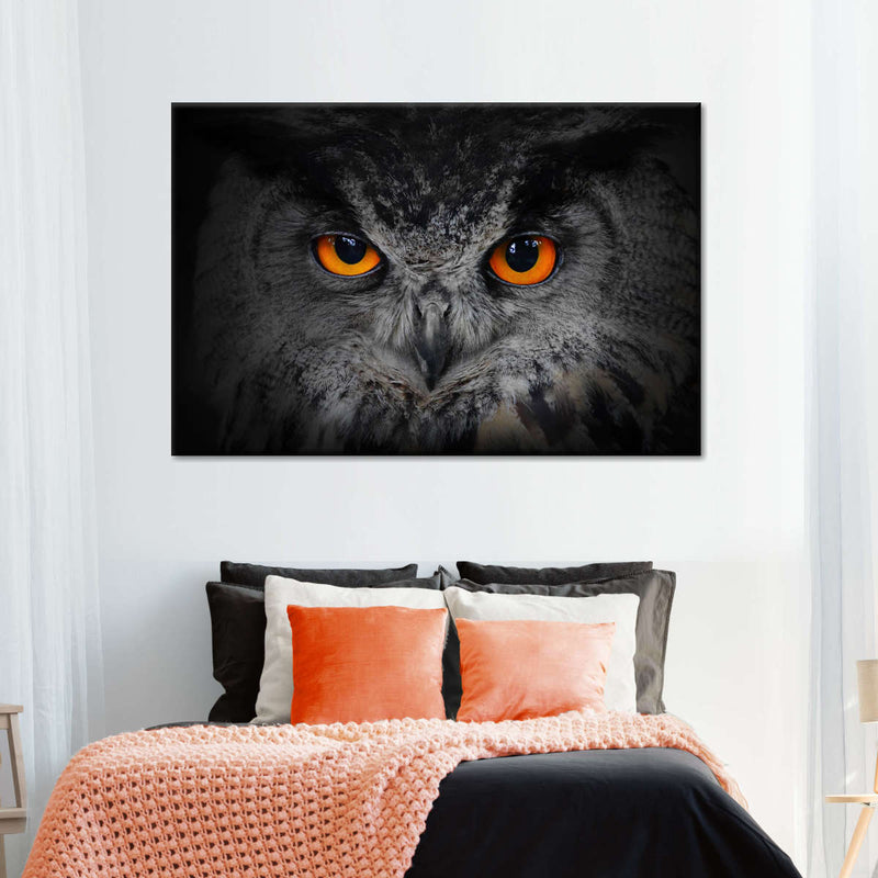 Mesmerizing Gray Owl Wall Art