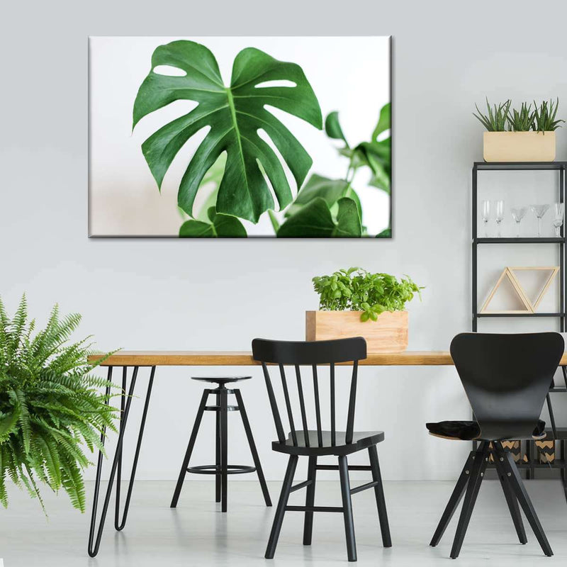 Monstera Leaf Wall Art