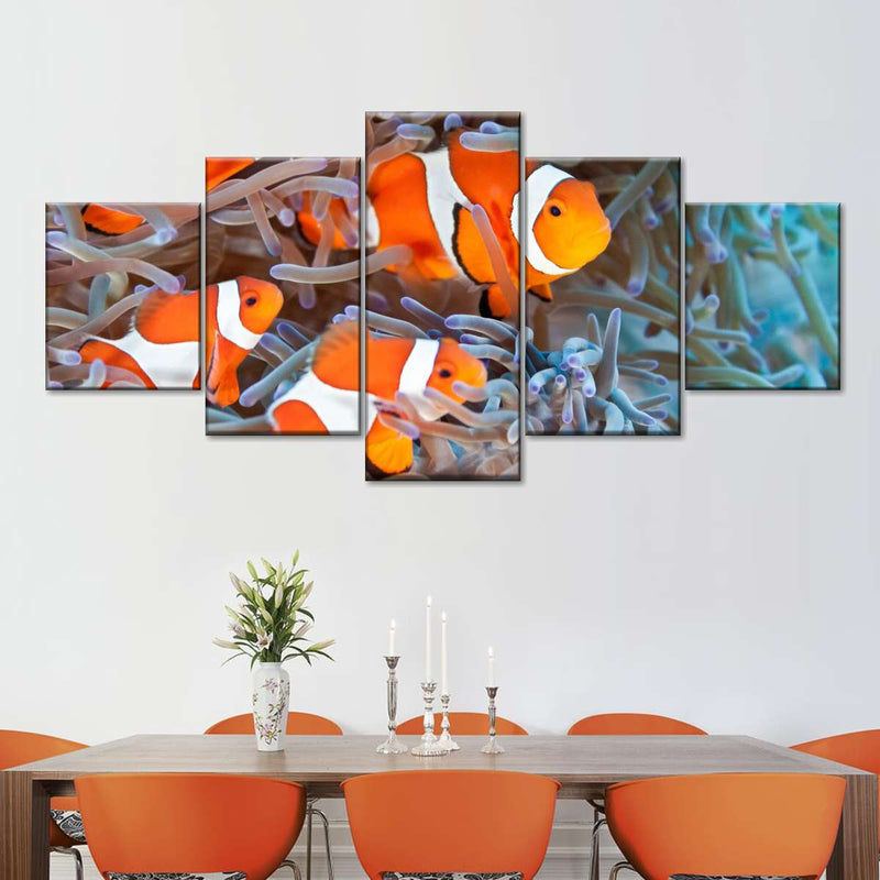 Clown Fish Wall Art