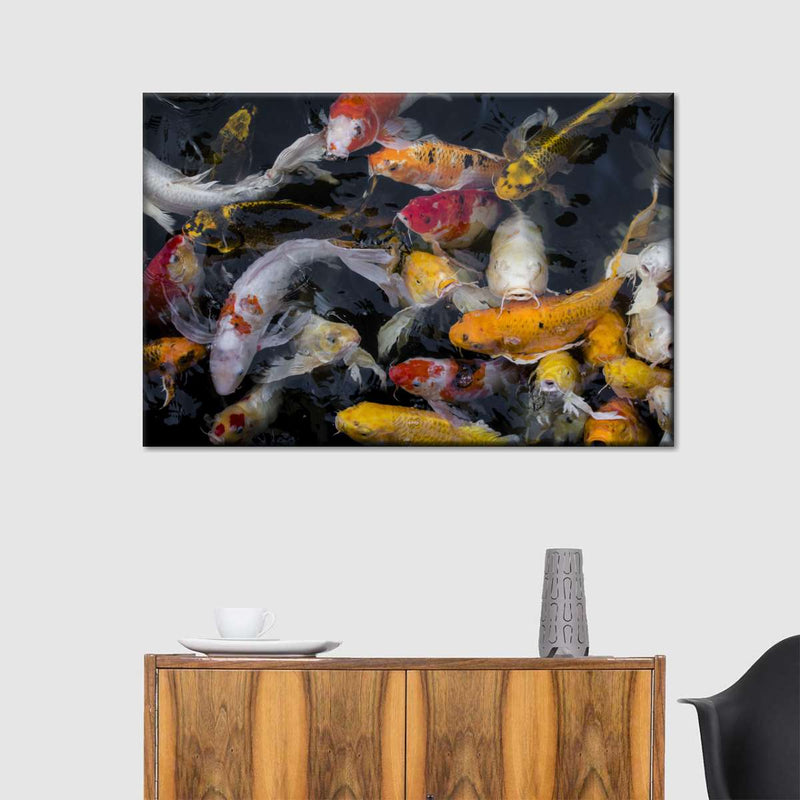 Abundant Koi Fish Wall Art