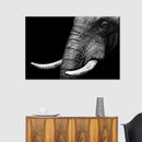 Elephant Close Up Wall Art
