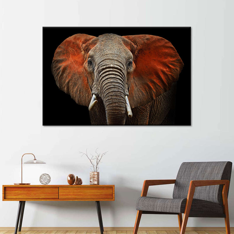 Elephant Portrait Wall Art