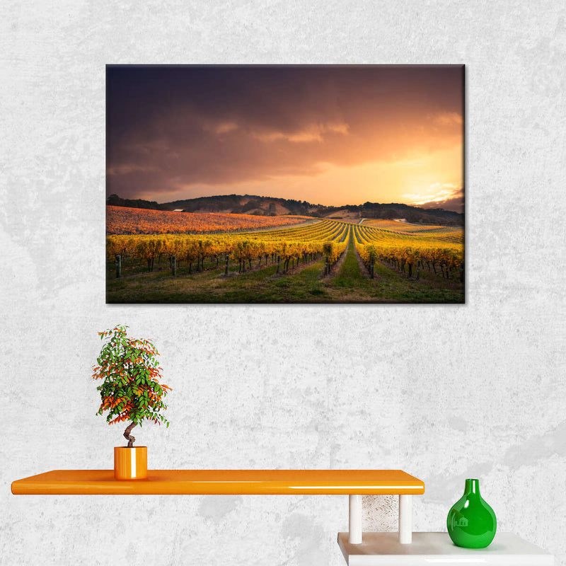 South Australia Vineyard Wall Art