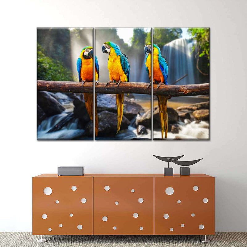 Macaw Friends Wall Art