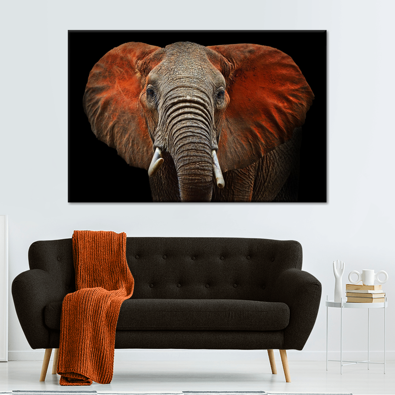 Elephant Portrait Wall Art