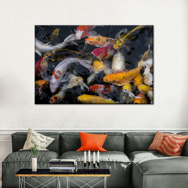 Abundant Koi Fish Wall Art