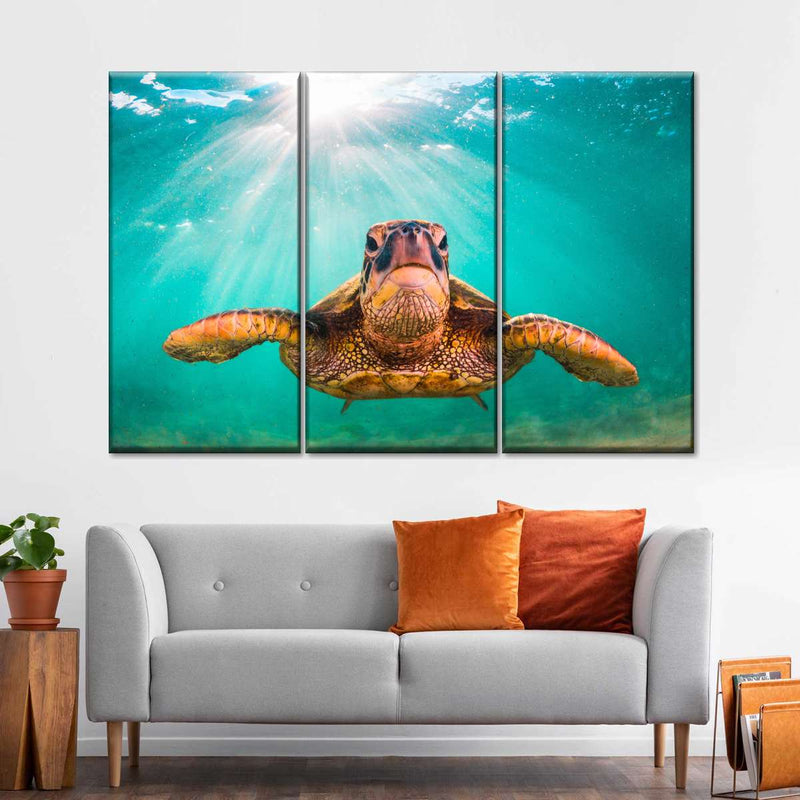 Maui Green Turtle Wall Art