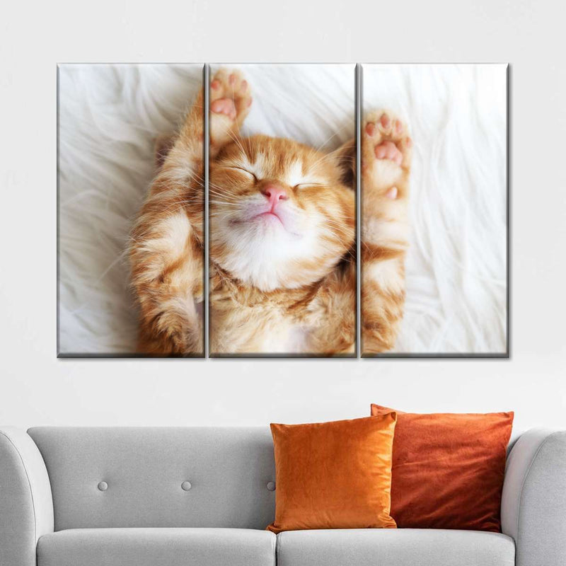 Sleepy Kitty Wall Art