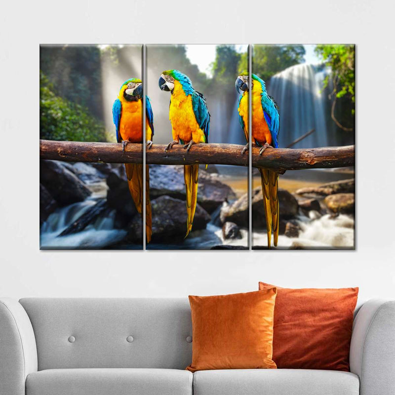 Macaw Friends Wall Art