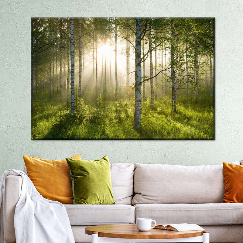 Birch Forest Sunlight Wall Art