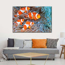 Clown Fish Wall Art