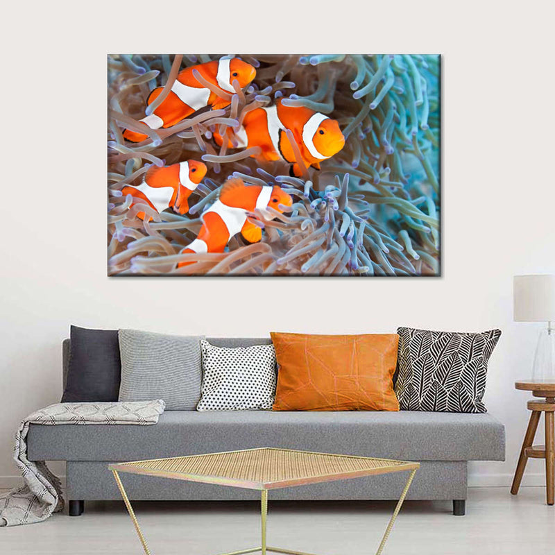 Clown Fish Wall Art