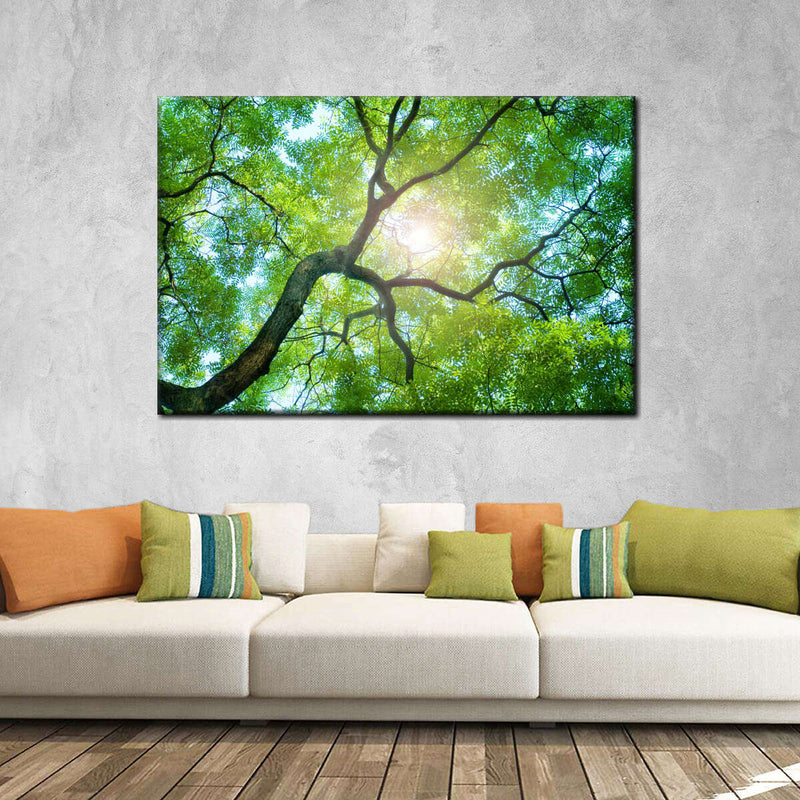 Tree Canopy Sunshine Wall Art