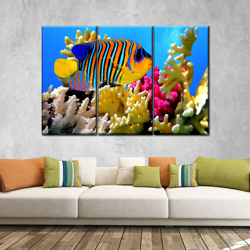 Queen Angelfish Wall Art