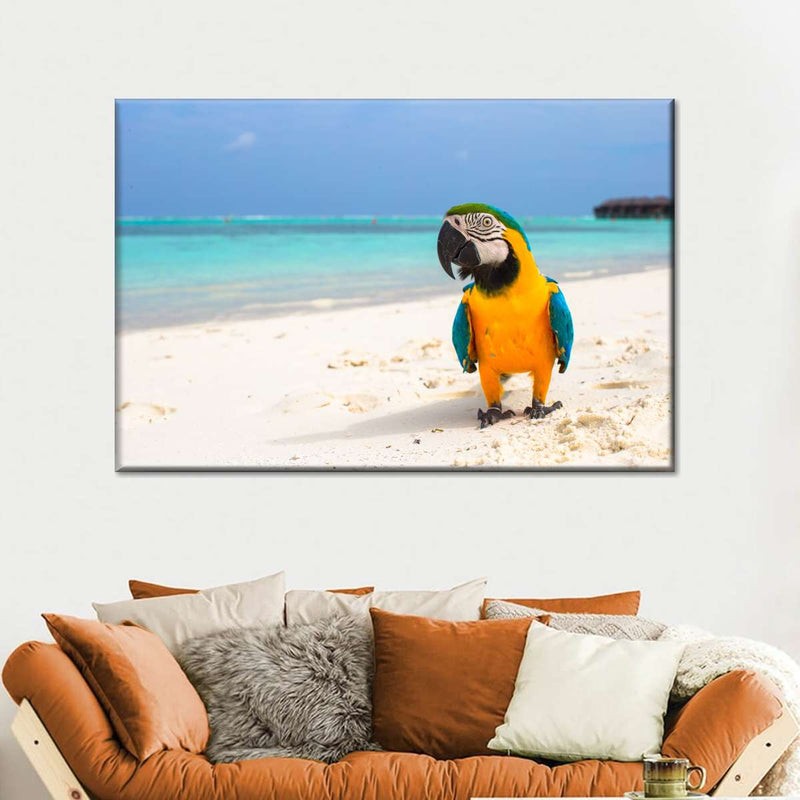 Parrot On Summer Day Wall Art