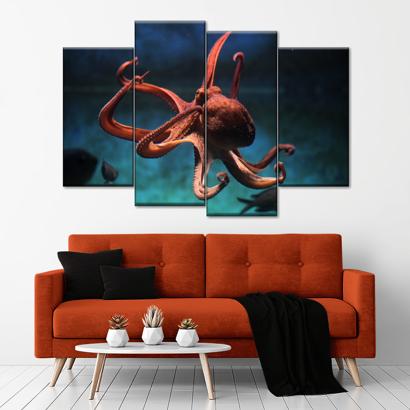 Octopus Vulgaris Wall Art