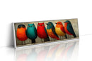 A Colorful Gathering on the Wire
